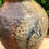 Thumbnail: Wood Fired Vase