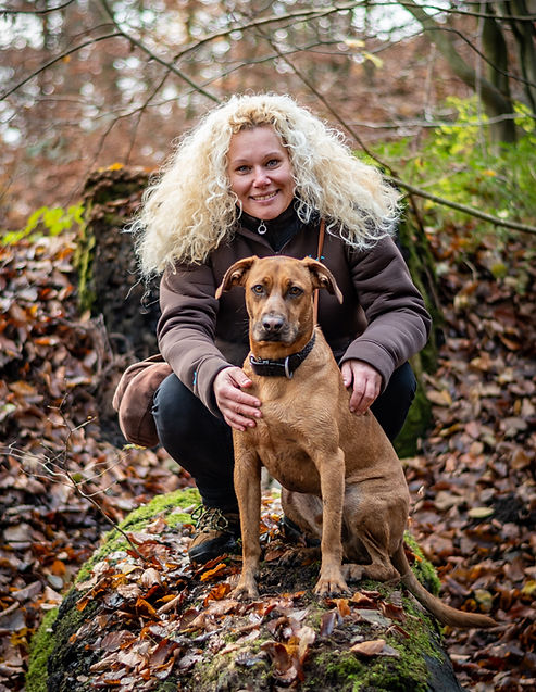 Ich begleite Mensch-Hund-Teams auf Ihrem gemeinsamen Weg ein harmonisches Team zu werden