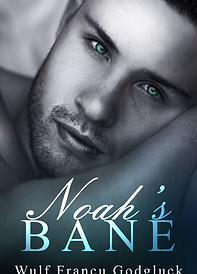 Noah’s Bane E-Book Cover.png