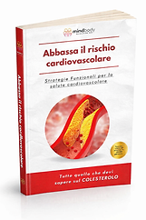 ChatGPT Image Feb 11, 2026, 09_33_32 PM.png