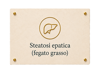 detossificazione-mindbodyrevolutionhub-servizi