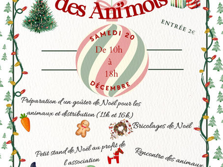 On vous attend nombreux, au programme, jeu, bricolages, visite de la ferme, rencontre avec le Père Noël, mini marché de Noël, lectures, vente de gâteaux... Tout cela au profit de l'association🥰