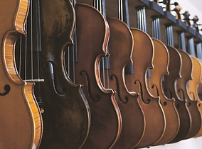 Violin Shop