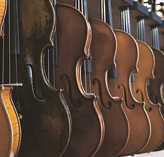 Boutique violon
