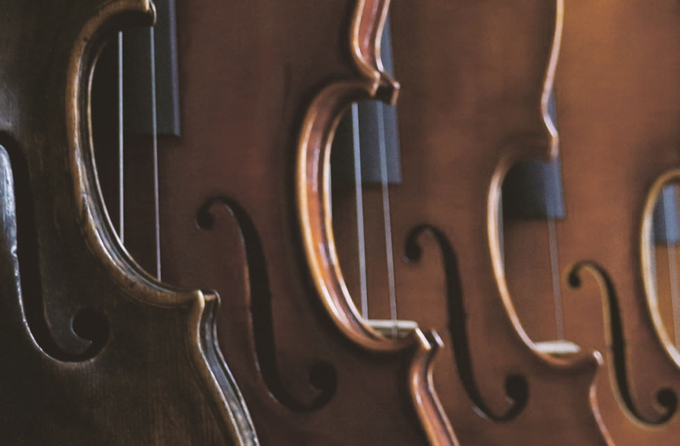Row Of Violins