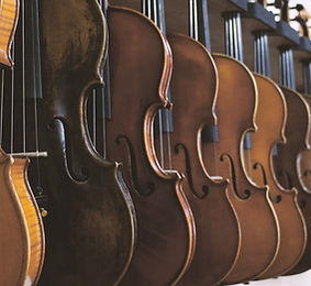 Boutique violon