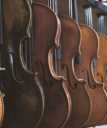 Violin Shop