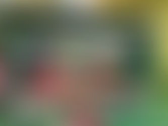 Malen wie Michelangelo