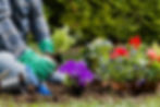 gardening-facebook.jpg