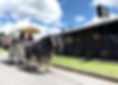 horse drawn carriage at the Roadvale Hotel