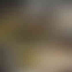 Explore local shops during Scenic Rim Eat Local Month