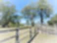 View to the mountains from the cattle yards at Sam Brown Cottage, Frazerview
