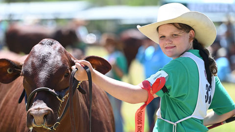 Boonah State High School Cattle Club