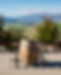 The Canyon at Tarras Vineyards Central Otago