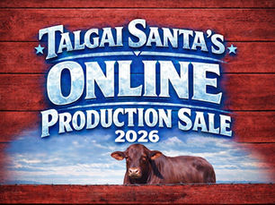 Talgai Santas 2026 Online Production Sale