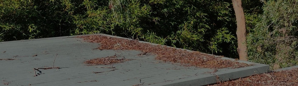 Tony's Property Improvements gutter cleaning service