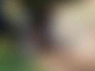 Christmas Party and Award Presentations 2025