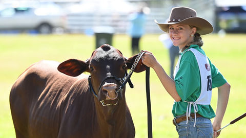 Boonah State High School Cattle Club