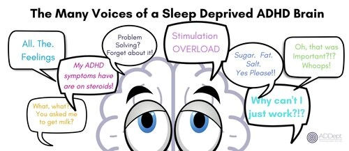 the many voices of a sleep deprived brain