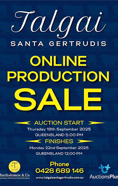 Talgai Santa Gertrudis online production sale 2025 poster