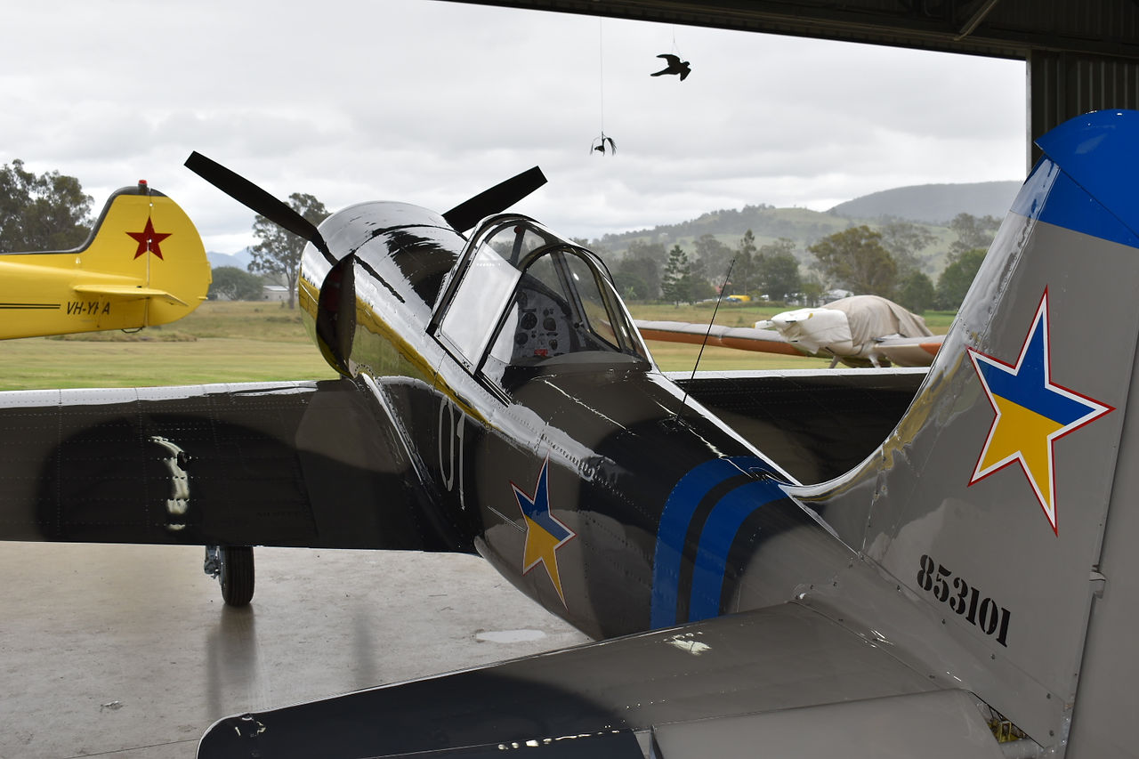 Yak-50 aeroplane Ukrainian Stars