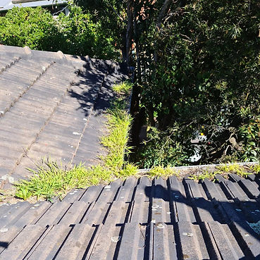 Tony's Property Improvements gutter cleaning