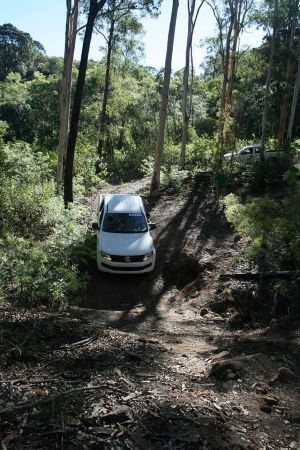 amazing experiences in the Scenic Rim