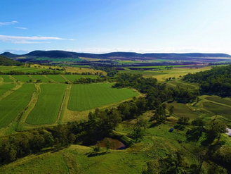 Webster Cavanagh Rural