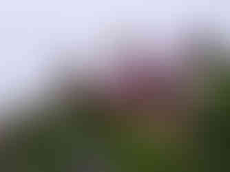 Workability House new roof by Merimbula Metal Roofing