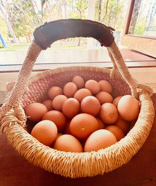 Sunny Love pasture raised eggs