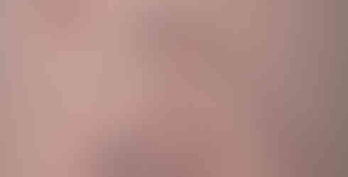 fine line outline of bear and cubs