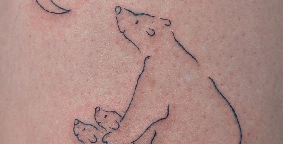 fine line outline of bear and cubs