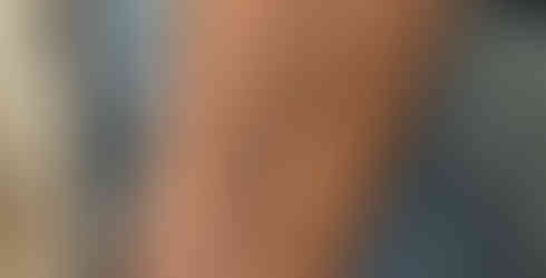 fine line tulips floral design