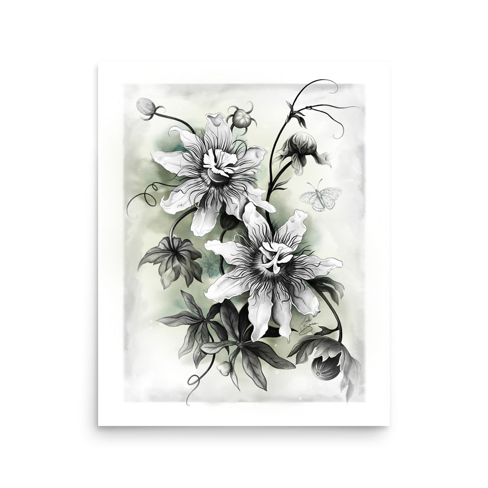 Passiflora (Passion Flower) Illustration