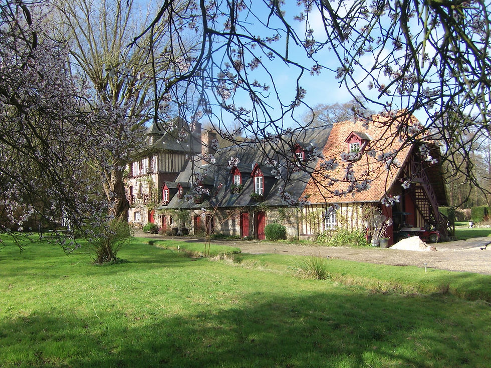 Sous le prunier