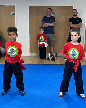 Martial Arts Lifestyle Little Dragons Red Sash