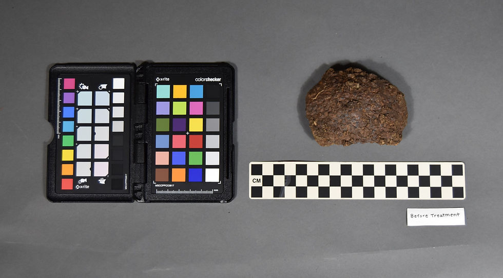(1/7) Shot fragment before treatment