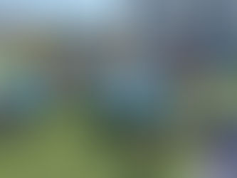 楽しいプール遊び