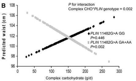 PLIN1 gene variants effect on weight, BMI. High carb or low carb diet. DNA diet