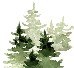 Forest composition 1.png