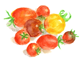カラフルトマト.png