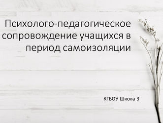Краевой skype-семинар «Содержание коррекционно-развивающей работы с обучающимися"