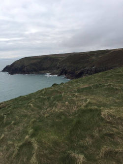 12842574_978081095615116_1681862925_o