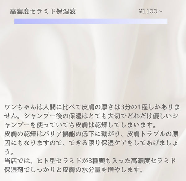 image1 (3).jpeg