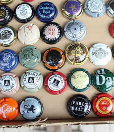 IMG_1579 (Large).JPG