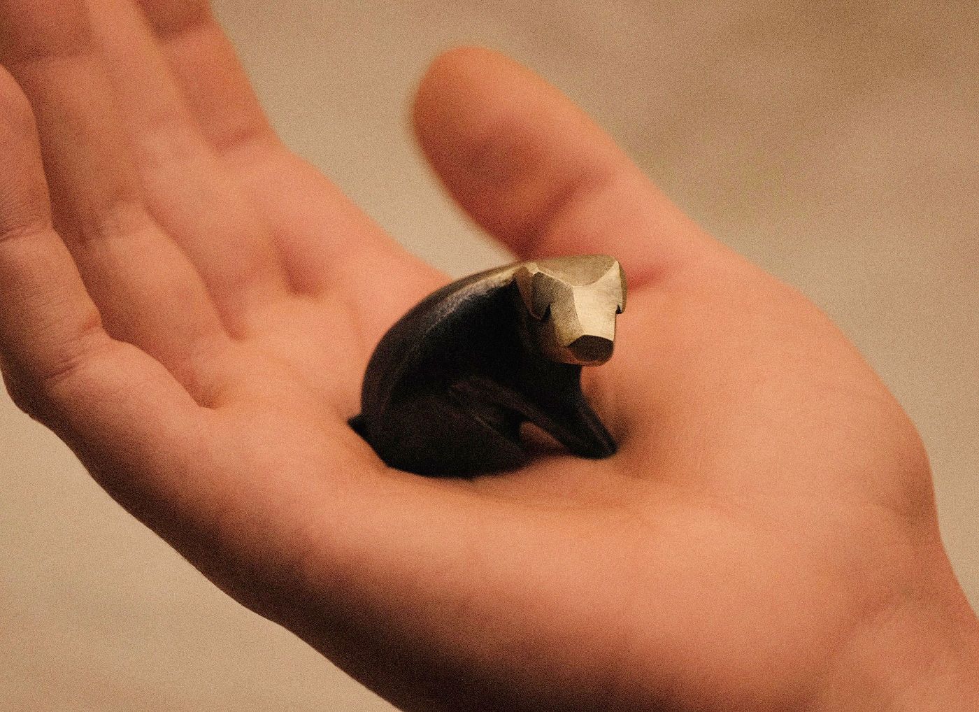 Pip