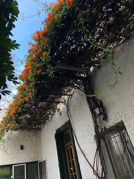 Casa Azul Palermo Buenos Aires Argentina