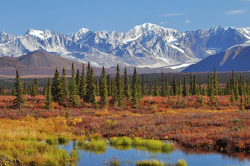 Monahan_Flat_and_the_eastern_Alaska_Range_mountains.jpg