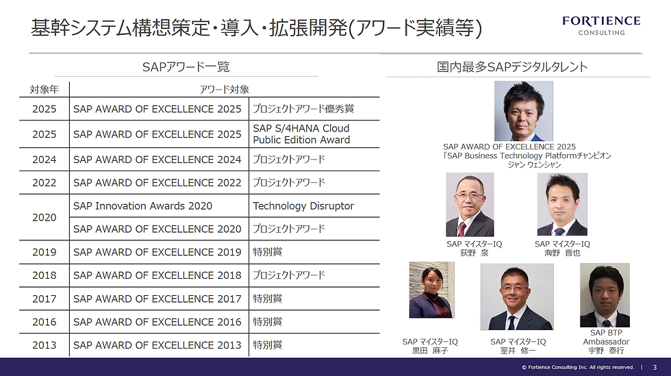 基幹システム構想策定・導入・拡張開発(アワード実績等)