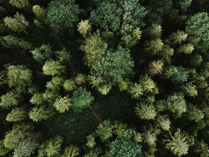 Bringing The Outside In: How Nature Can Inspire Washroom Design